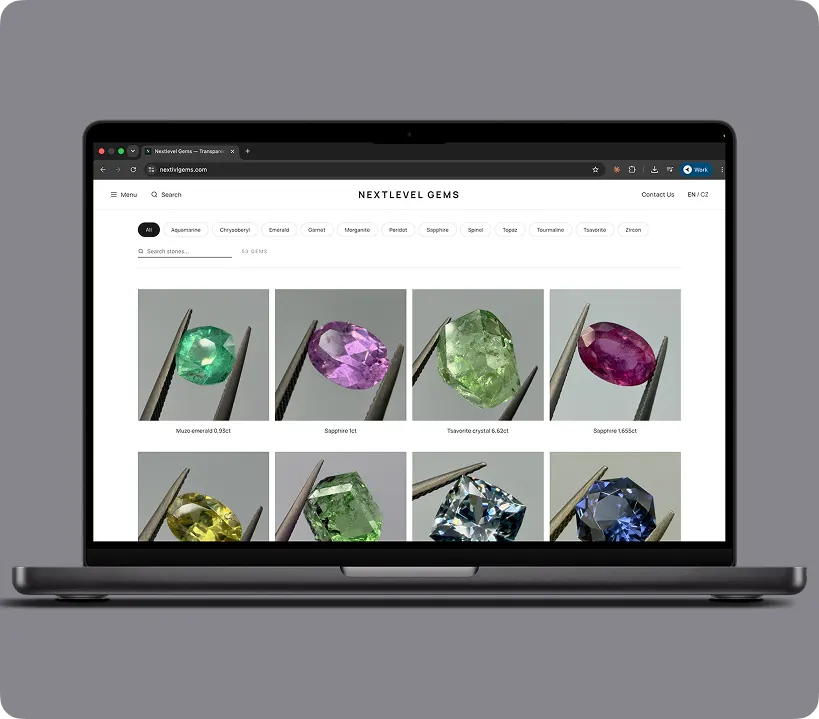 Next-level Gems website — showcase and store